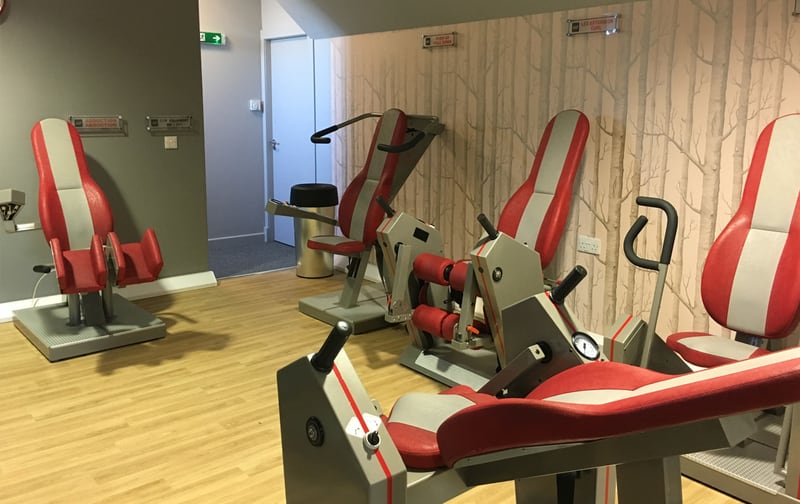 Red and white resistance machines against birch wallpaper